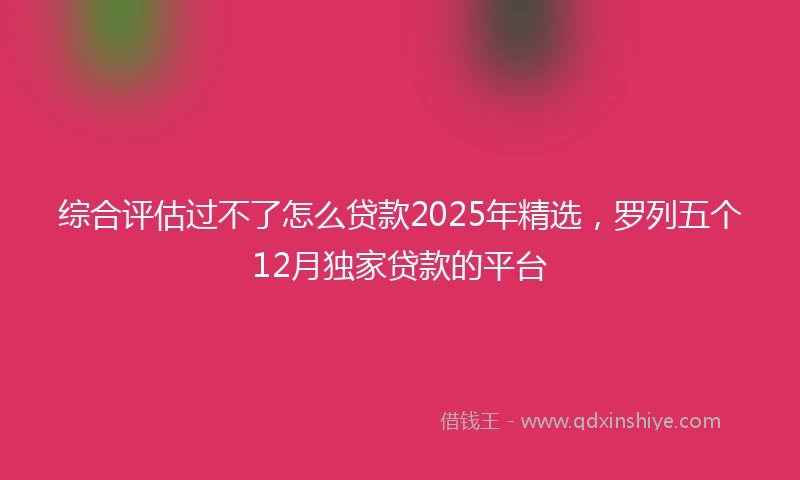 综合评估过不了怎么贷款2025年精选，罗列五个12月独家贷款的平台