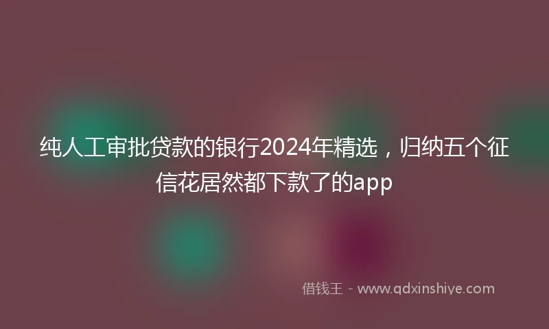 纯人工审批贷款的银行2024年精选，归纳五个征信花居然都下款了的app