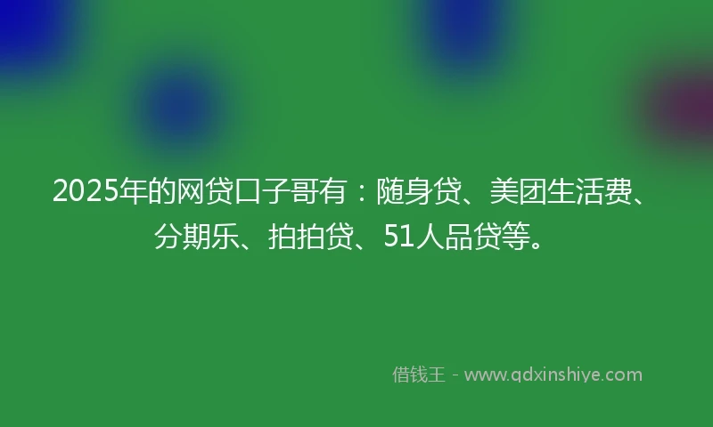 2025年的网贷口子哥有：随身贷、美团生活费、分期乐、拍拍贷、51人品贷等。