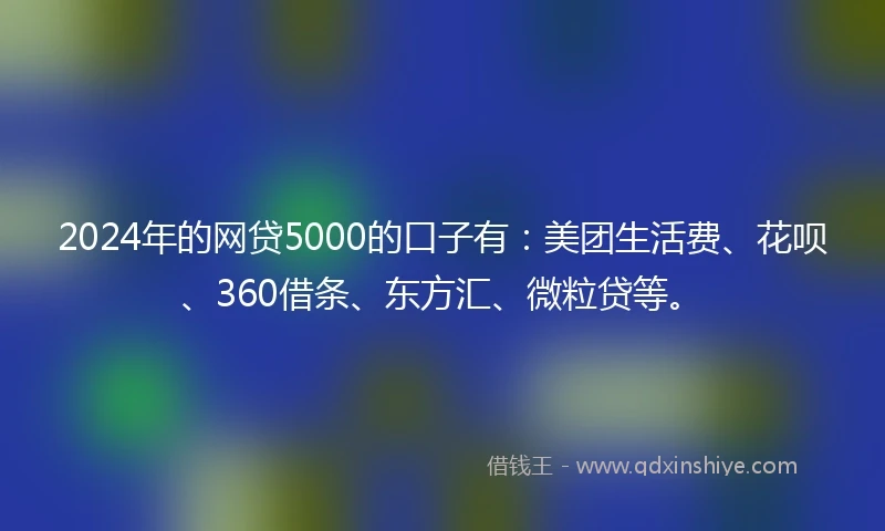 2024年的网贷5000的口子有：美团生活费、花呗、360借条、东方汇、微粒贷等。