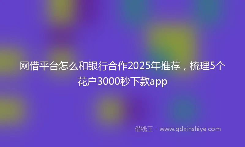 网借平台怎么和银行合作2025年推荐，梳理5个花户3000秒下款app