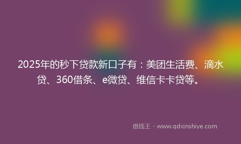 2025年的秒下贷款新口子有：美团生活费、滴水贷、360借条、e微贷、维信卡卡贷等。