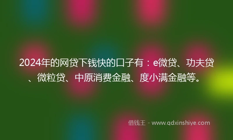 2024年的网贷下钱快的口子有：e微贷、功夫贷、微粒贷、中原消费金融、度小满金融等。