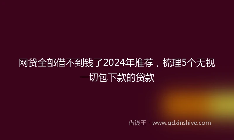 网贷全部借不到钱了2024年推荐，梳理5个无视一切包下款的贷款