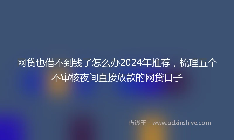 网贷也借不到钱了怎么办2024年推荐，梳理五个不审核夜间直接放款的网贷口子