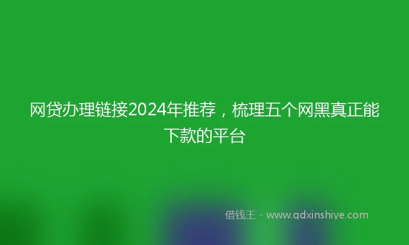 网贷办理链接2024年推荐，梳理五个网黑真正能下款的平台