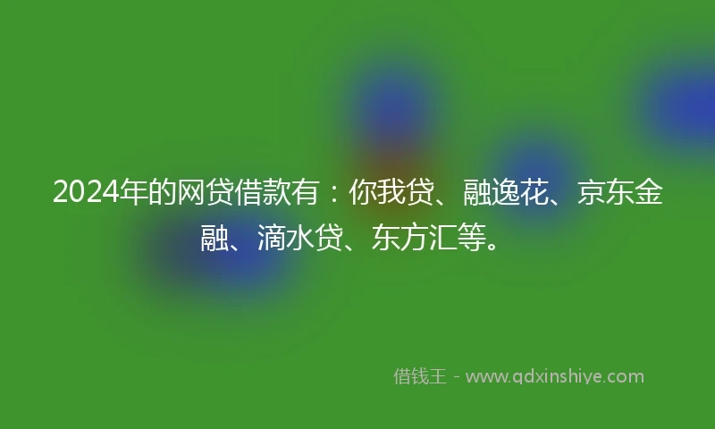 2024年的网贷借款有：你我贷、融逸花、京东金融、滴水贷、东方汇等。