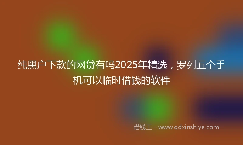 纯黑户下款的网贷有吗2025年精选，罗列五个手机可以临时借钱的软件