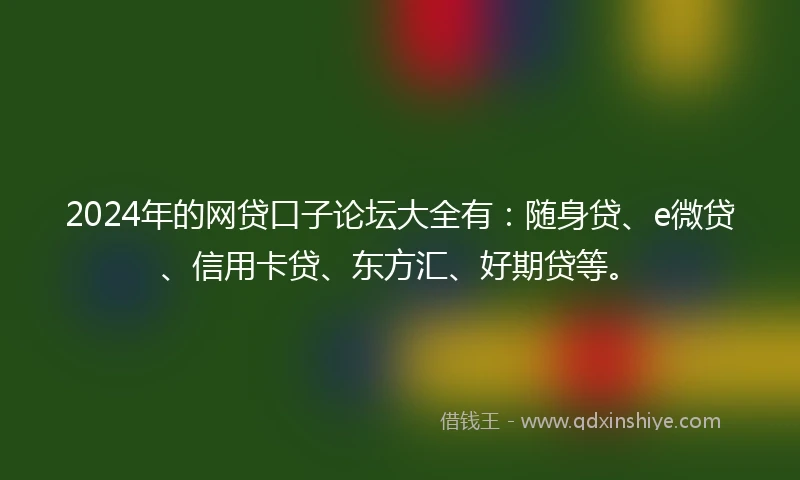 2024年的网贷口子论坛大全有：随身贷、e微贷、信用卡贷、东方汇、好期贷等。