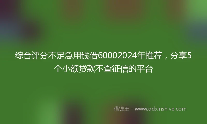 综合评分不足急用钱借60002024年推荐，分享5个小额贷款不查征信的平台