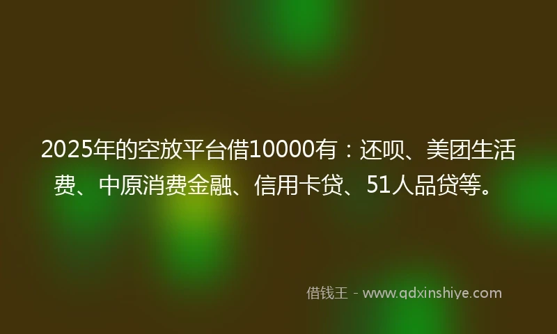 2025年的空放平台借10000有：还呗、美团生活费、中原消费金融、信用卡贷、51人品贷等。