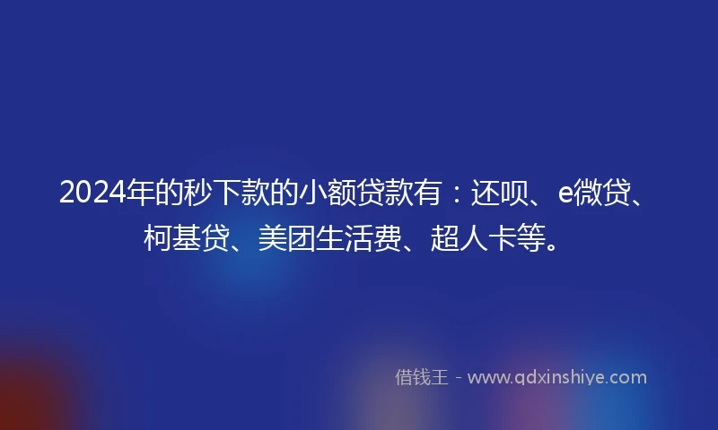 2024年的秒下款的小额贷款有：还呗、e微贷、柯基贷、美团生活费、超人卡等。