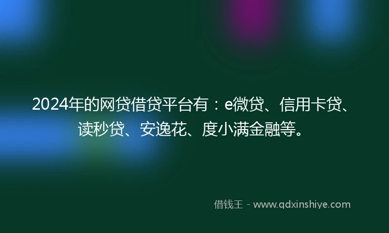 2024年的网贷借贷平台有：e微贷、信用卡贷、读秒贷、安逸花、度小满金融等。
