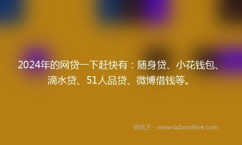 2024年的网贷一下赶快有：随身贷、小花钱包、滴水贷、51人品贷、微博借钱等。