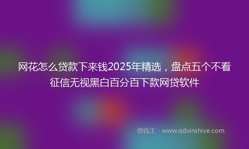 网花怎么贷款下来钱2025年精选，盘点五个不看征信无视黑白百分百下款网贷软件