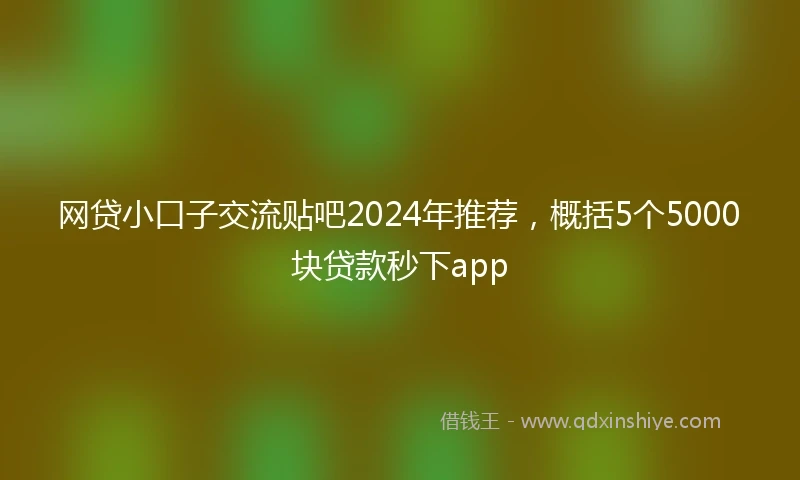 网贷小口子交流贴吧2024年推荐，概括5个5000块贷款秒下app