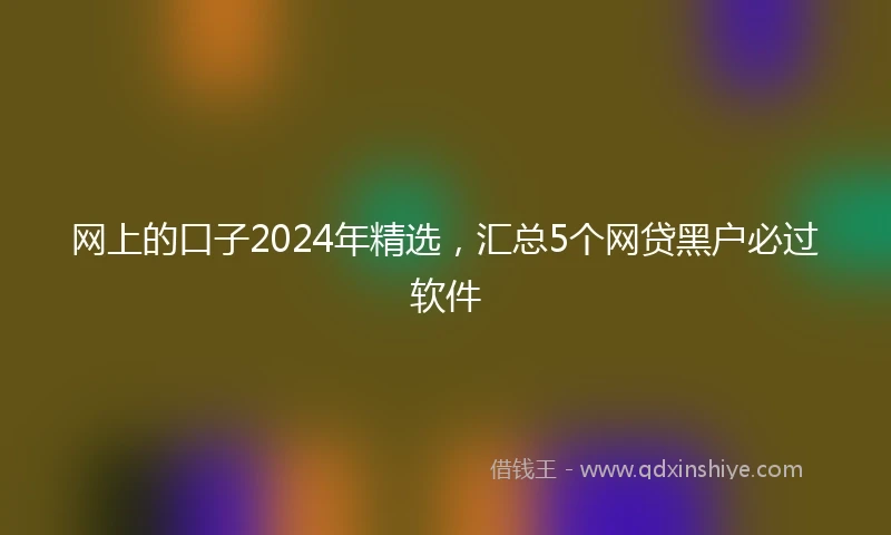 网上的口子2024年精选，汇总5个网贷黑户必过软件