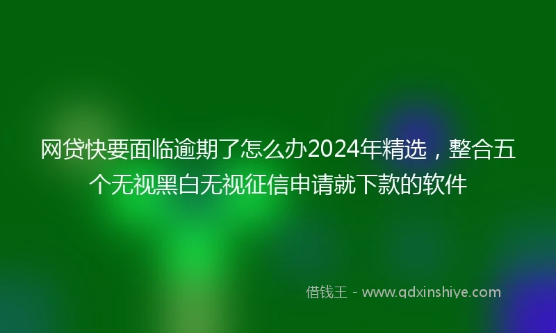 网贷快要面临逾期了怎么办2024年精选，整合五个无视黑白无视征信申请就下款的软件