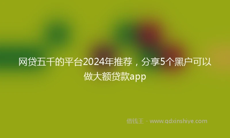 网贷五千的平台2024年推荐，分享5个黑户可以做大额贷款app