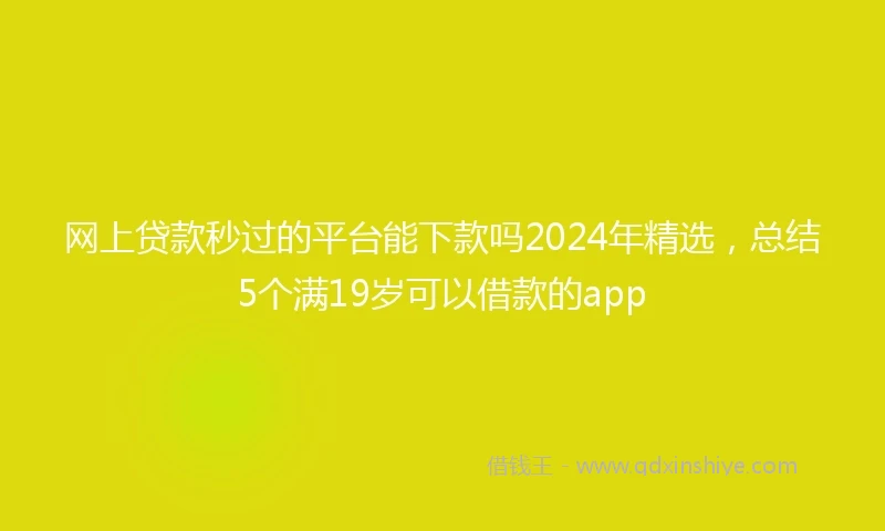 网上贷款秒过的平台能下款吗2024年精选，总结5个满19岁可以借款的app