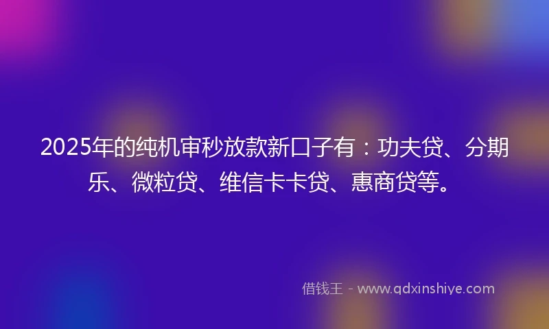 2025年的纯机审秒放款新口子有：功夫贷、分期乐、微粒贷、维信卡卡贷、惠商贷等。
