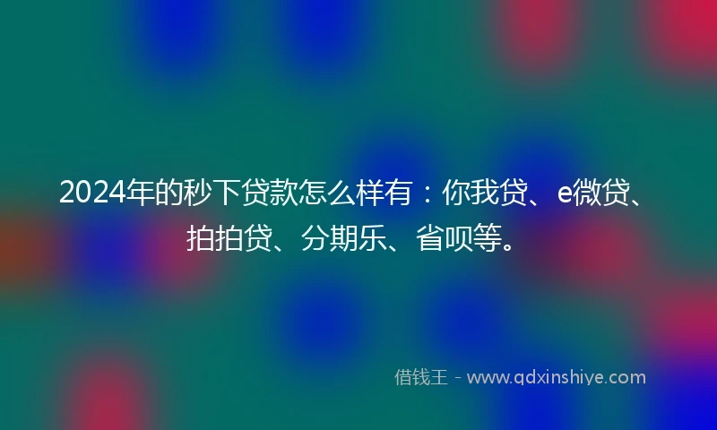 2024年的秒下贷款怎么样有：你我贷、e微贷、拍拍贷、分期乐、省呗等。