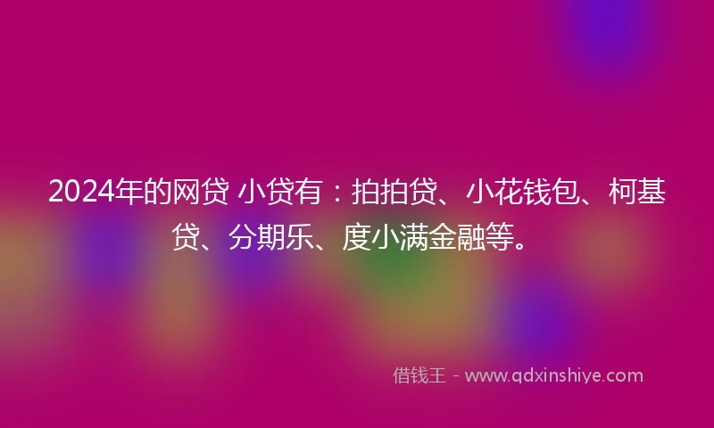 2024年的网贷 小贷有：拍拍贷、小花钱包、柯基贷、分期乐、度小满金融等。