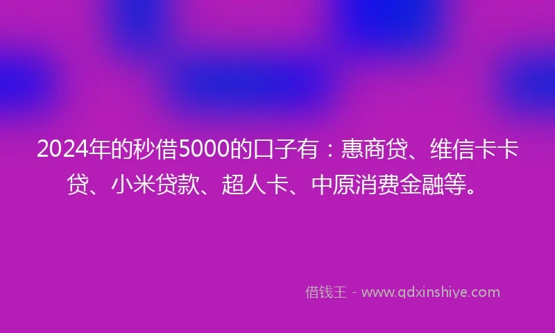 2024年的秒借5000的口子有：惠商贷、维信卡卡贷、小米贷款、超人卡、中原消费金融等。
