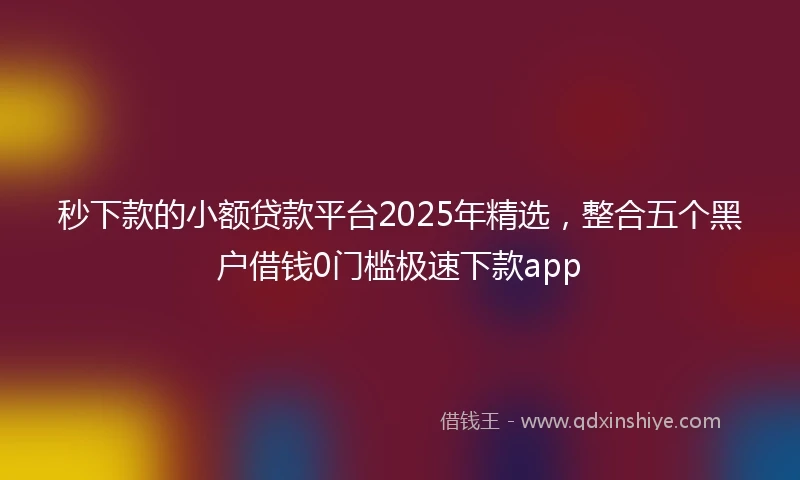 秒下款的小额贷款平台2025年精选,整合五个黑户借钱0门槛极速下款app