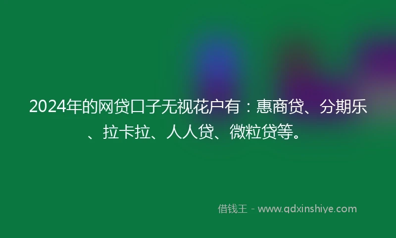 2024年的网贷口子无视花户有：惠商贷、分期乐、拉卡拉、人人贷、微粒贷等。