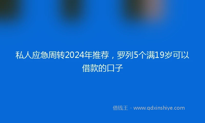 私人应急周转2024年推荐，罗列5个满19岁可以借款的口子