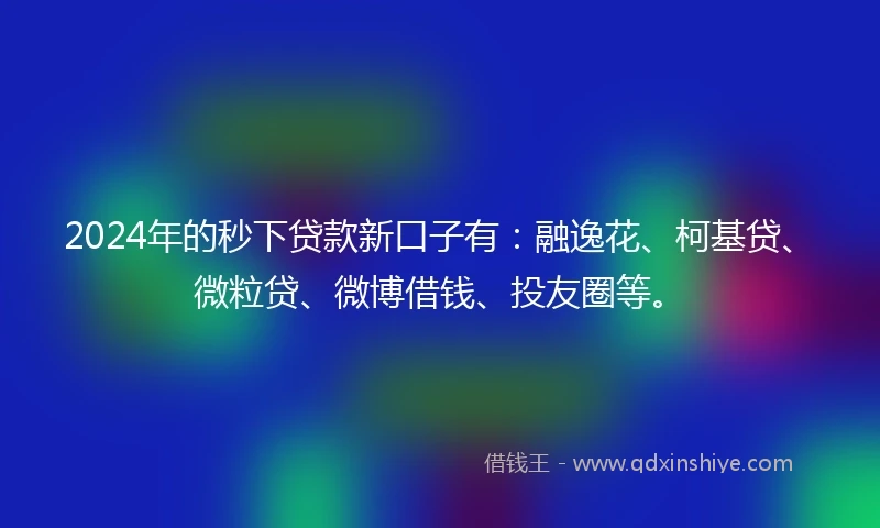 2024年的秒下贷款新口子有：融逸花、柯基贷、微粒贷、微博借钱、投友圈等。