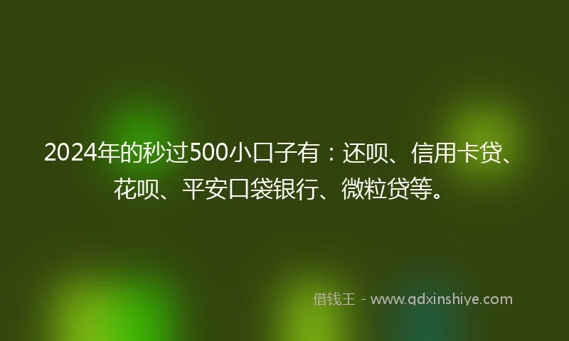 2024年的秒过500小口子有：还呗、信用卡贷、花呗、平安口袋银行、微粒贷等。