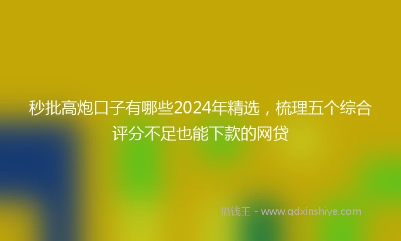 秒批高炮口子有哪些2024年精选，梳理五个综合评分不足也能下款的网贷