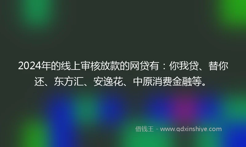 2024年的线上审核放款的网贷有：你我贷、替你还、东方汇、安逸花、中原消费金融等。