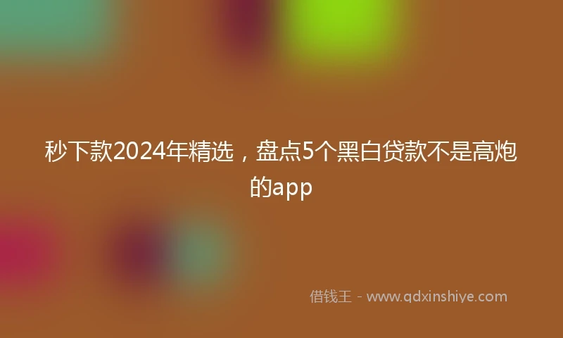 秒下款2024年精选，盘点5个黑白贷款不是高炮的app