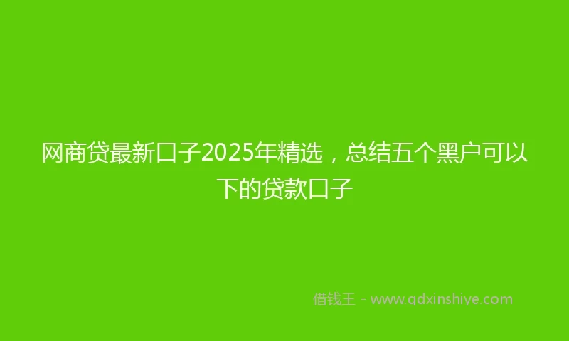 网商贷最新口子2025年精选，总结五个黑户可以下的贷款口子