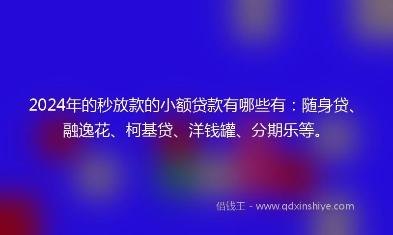 2024年的秒放款的小额贷款有哪些有：随身贷、融逸花、柯基贷、洋钱罐、分期乐等。