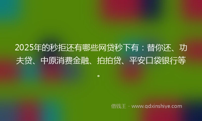 2025年的秒拒还有哪些网贷秒下有：替你还、功夫贷、中原消费金融、拍拍贷、平安口袋银行等。