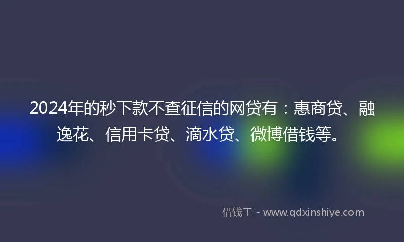 2024年的秒下款不查征信的网贷有：惠商贷、融逸花、信用卡贷、滴水贷、微博借钱等。
