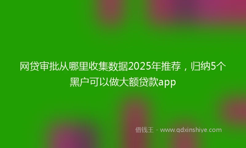 网贷审批从哪里收集数据2025年推荐，归纳5个黑户可以做大额贷款app