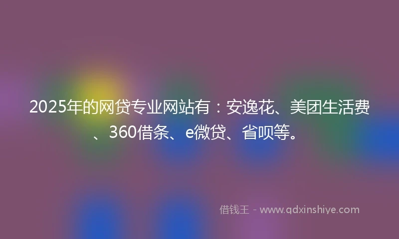 2025年的网贷专业网站有：安逸花、美团生活费、360借条、e微贷、省呗等。