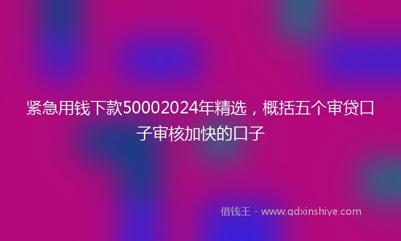紧急用钱下款50002024年精选，概括五个审贷口子审核加快的口子