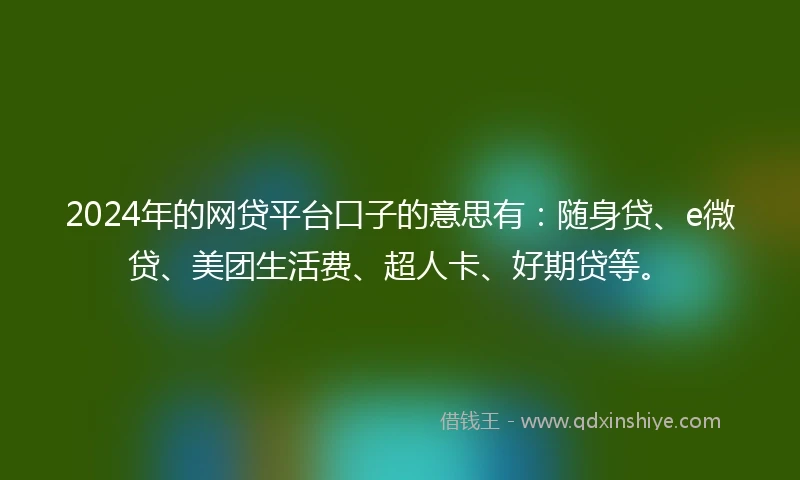 2024年的网贷平台口子的意思有：随身贷、e微贷、美团生活费、超人卡、好期贷等。