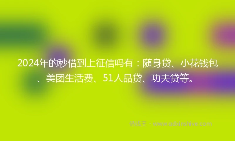 2024年的秒借到上征信吗有：随身贷、小花钱包、美团生活费、51人品贷、功夫贷等。
