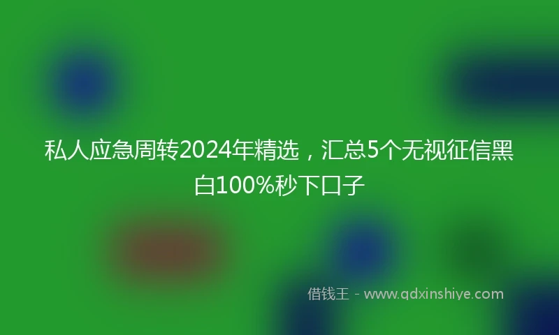 私人应急周转2024年精选，汇总5个无视征信黑白100%秒下口子