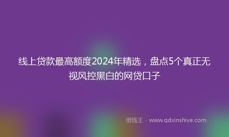 线上贷款最高额度2024年精选，盘点5个真正无视风控黑白的网贷口子