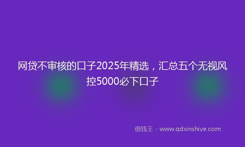 网贷不审核的口子2025年精选，汇总五个无视风控5000必下口子
