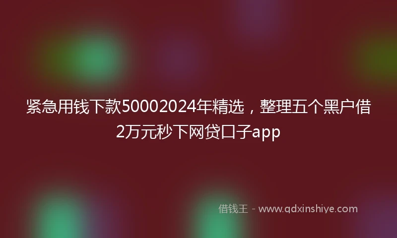 紧急用钱下款50002024年精选，整理五个黑户借2万元秒下网贷口子app