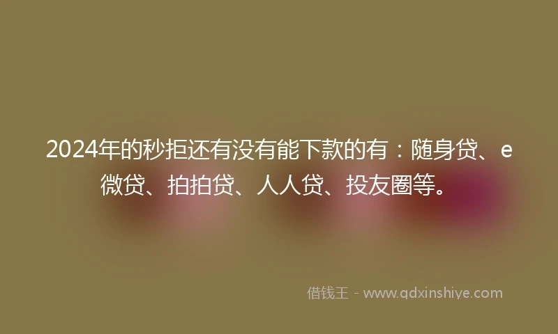 2024年的秒拒还有没有能下款的有：随身贷、e微贷、拍拍贷、人人贷、投友圈等。